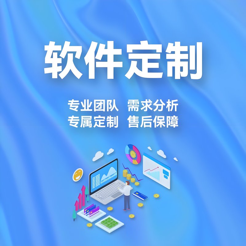 软件定制:企业发展的加速器